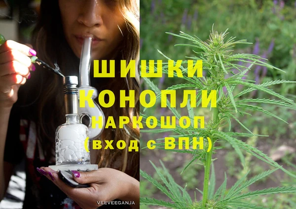 spice Алексеевка