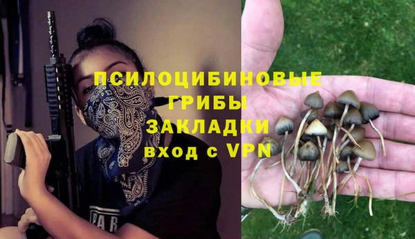 гидра Алзамай