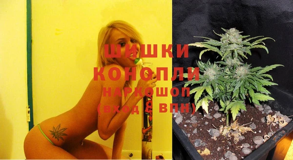 spice Алексеевка