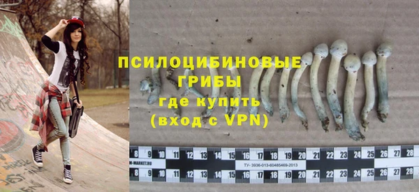 spice Алексеевка