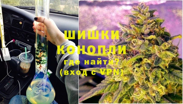 бошки Алексин