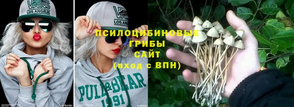 гидра Алзамай