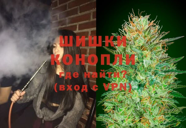 бошки Алексин