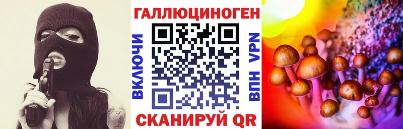 Псилоцибиновые грибы Cubensis  Лесной 