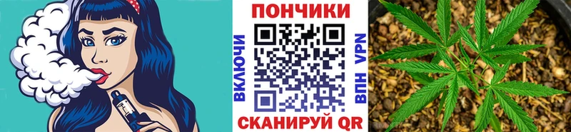 даркнет сайт  Лесной  Канабис конопля 